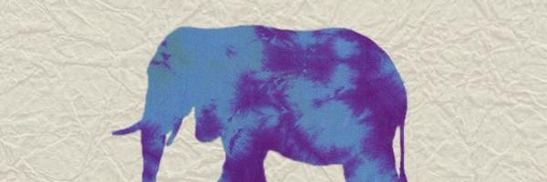 NelBegley Profile Banner