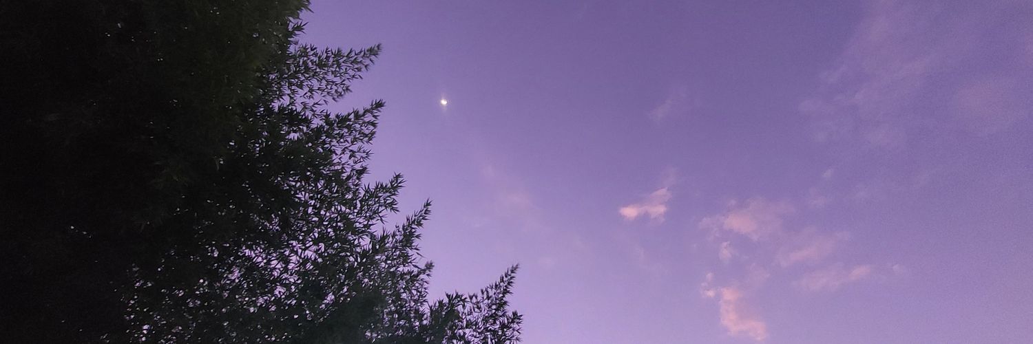 Dam_p1's profile banner image