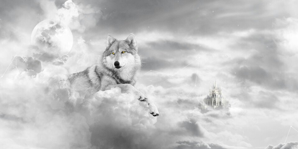Tech_Wolfix's profile banner image