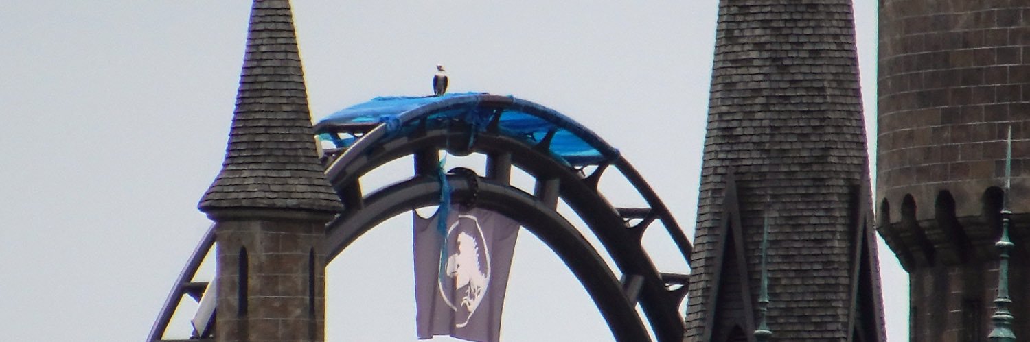 shhmerrill's profile banner image