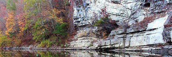 BLUEgrasscrazy1 Profile Banner