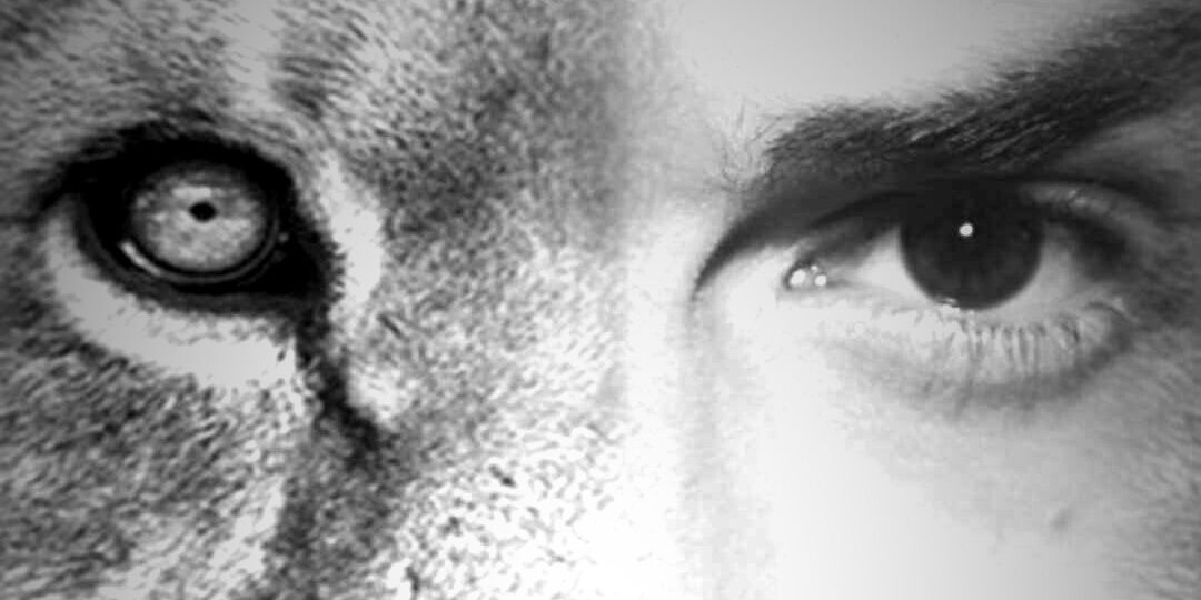Geemeeliistaa's profile banner image