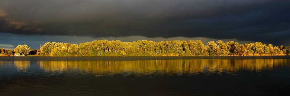 Andras Micsik banner