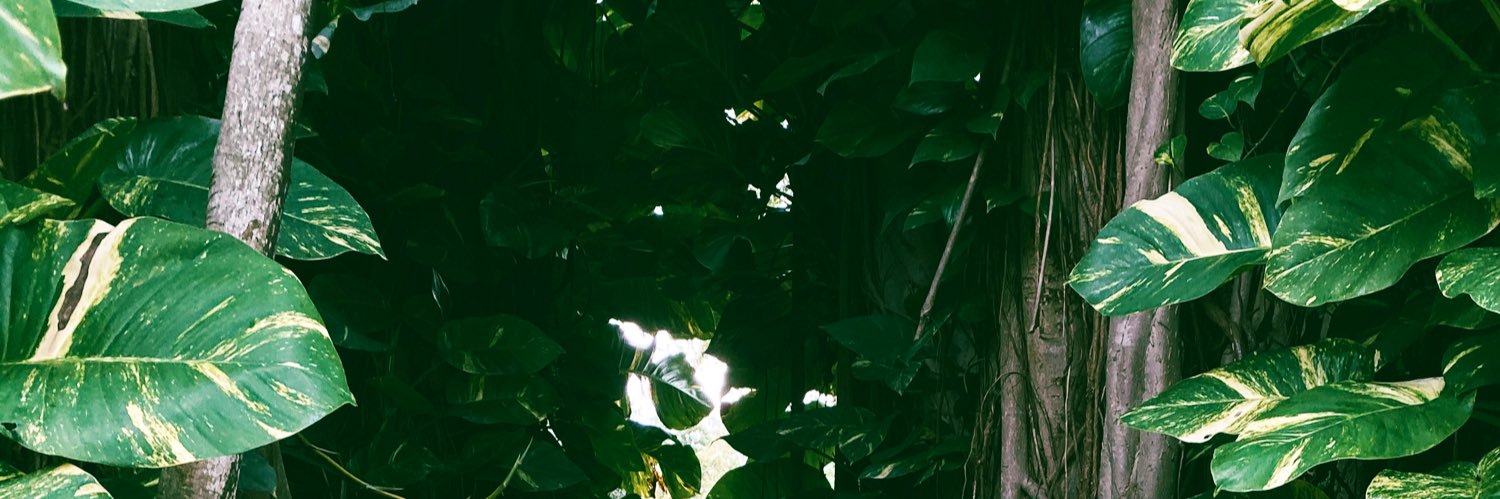 jm0r's profile banner image