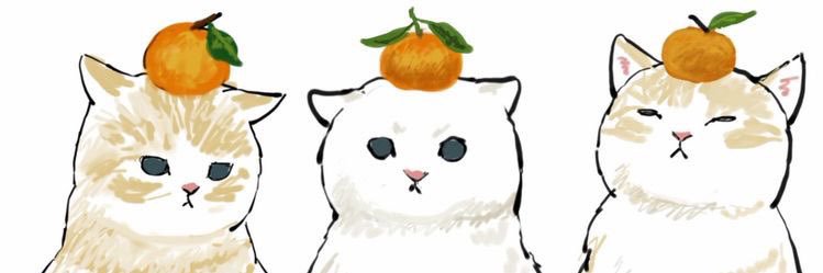 N0TK8_'s profile banner image