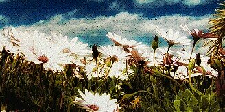 om_h07's profile banner image