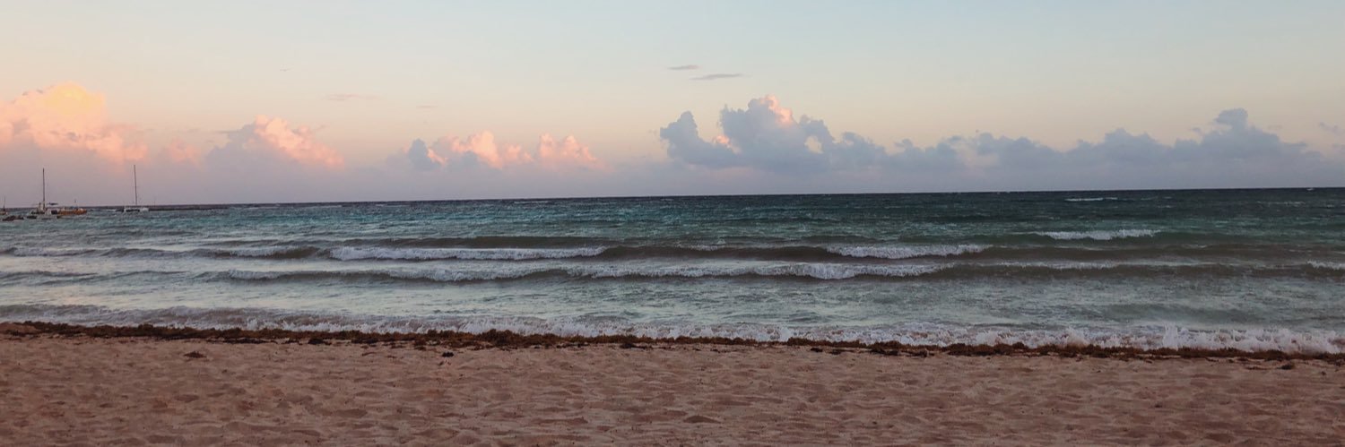 ari_rose24's profile banner image