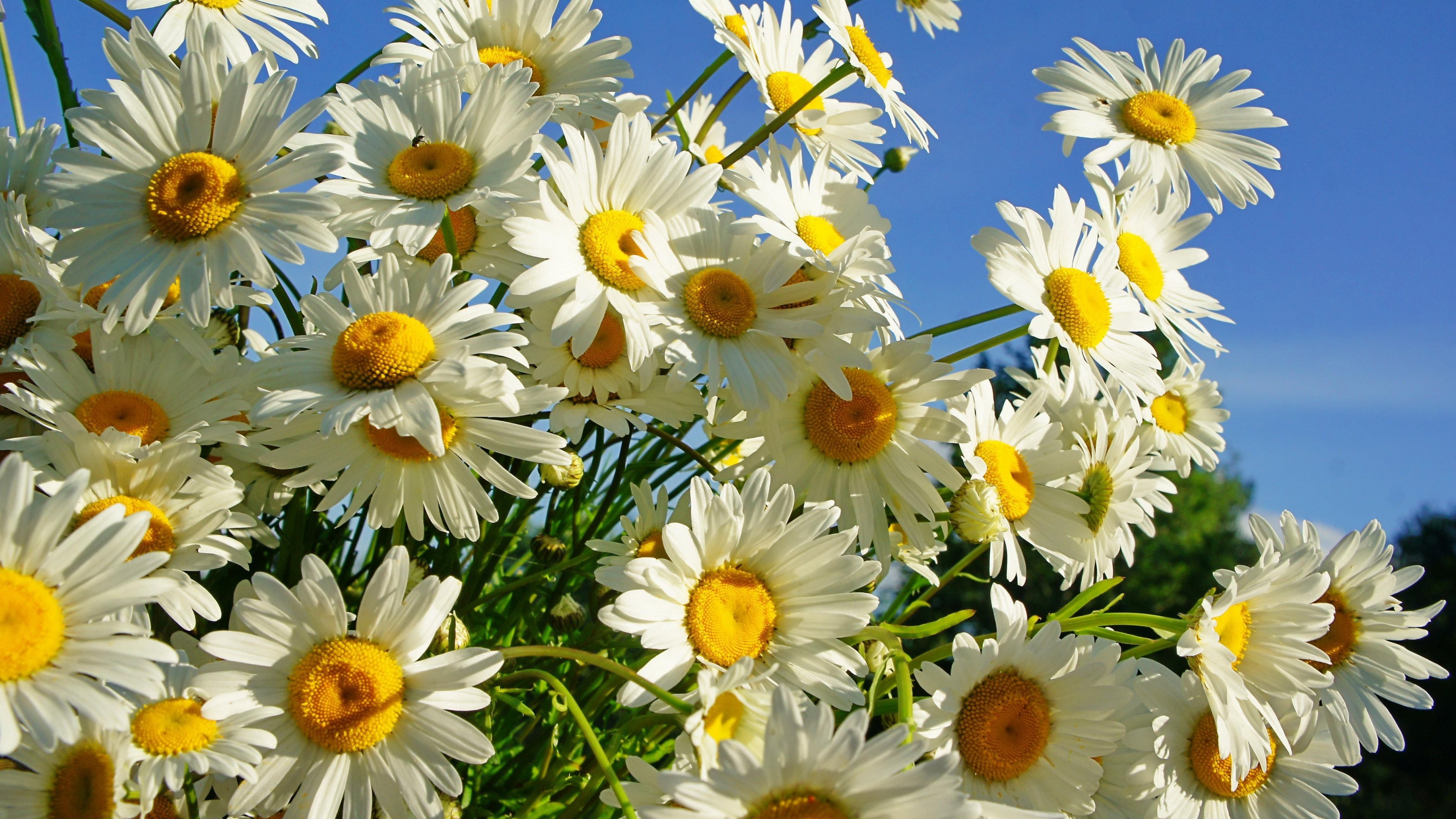 Anil1569's profile banner image