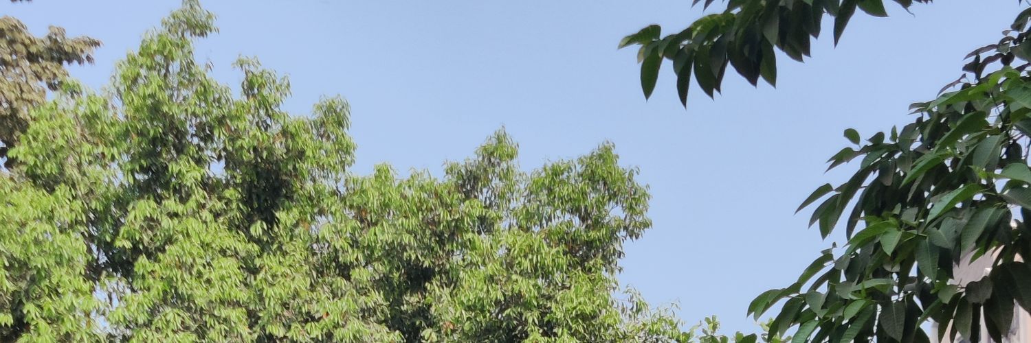 Nupur banner