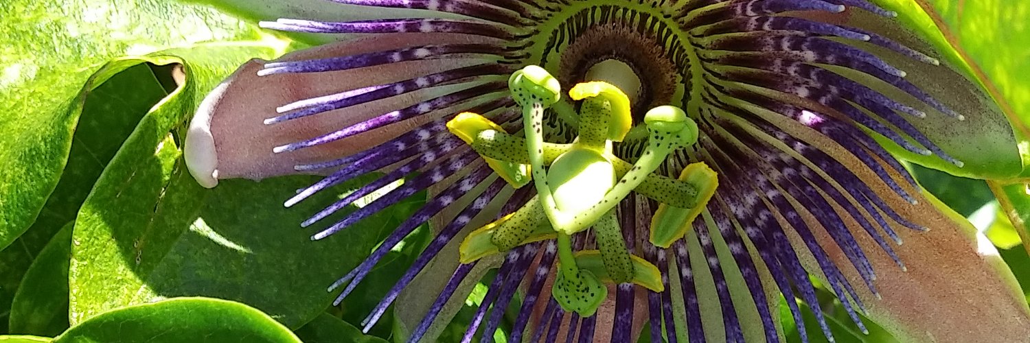 Just_Sci_kee's profile banner image