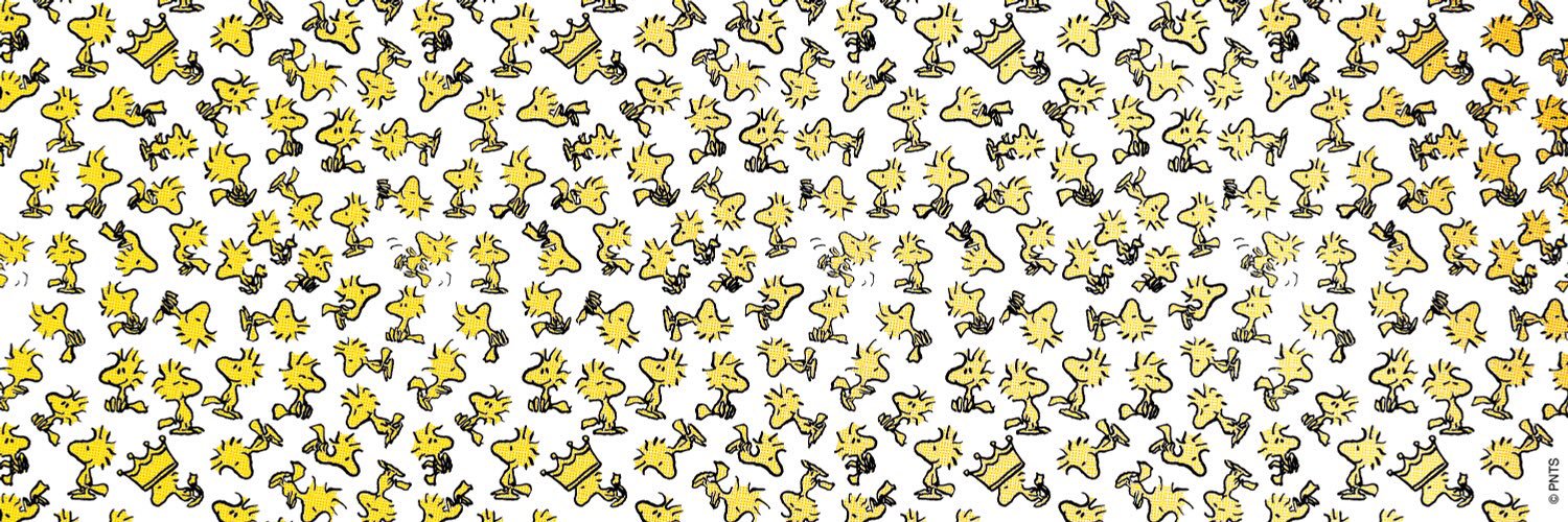 FCCowboy's profile banner image
