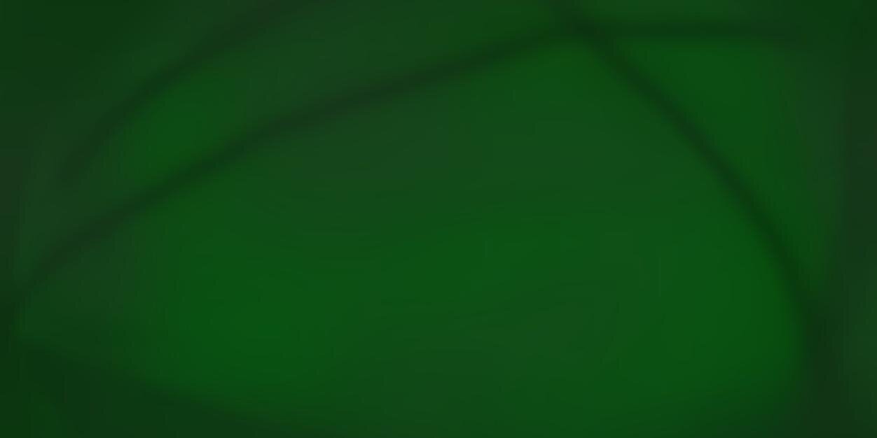 VeraTheGun's profile banner image