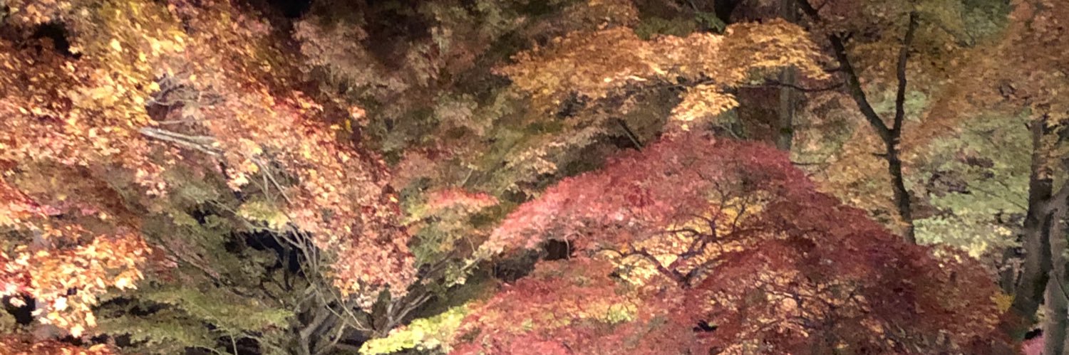 ginzi7777's profile banner image
