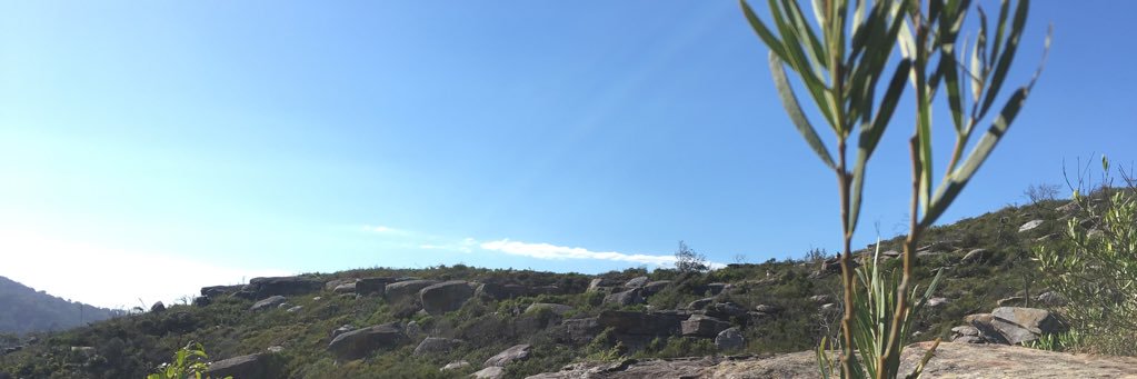 LinnamonRoll___'s profile banner image