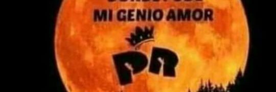 eltigretato's profile banner image