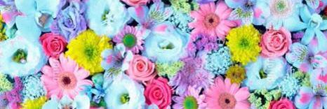 nachu515's profile banner image