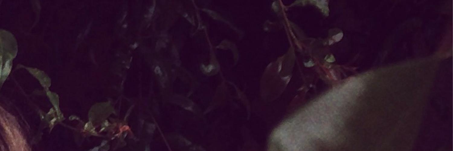 Dazmac1's profile banner image