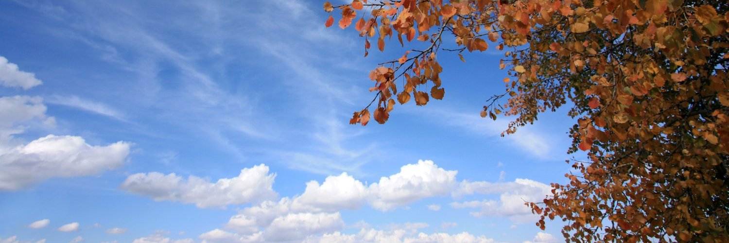 hcb0614's profile banner image