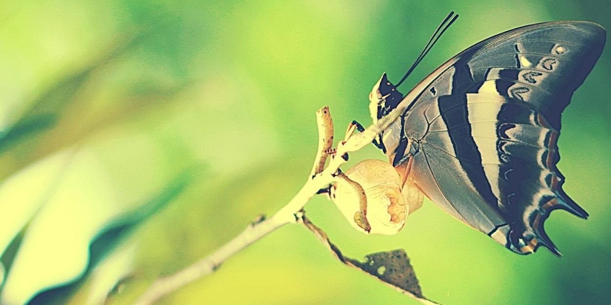 ajiwicuk's profile banner image
