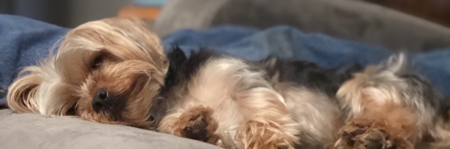 schradersc's profile banner image