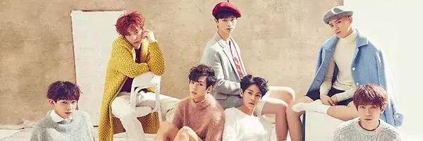 wangjanimjae's profile banner image