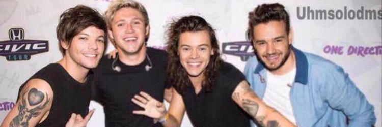 1DUpdates_Ellie's profile banner image
