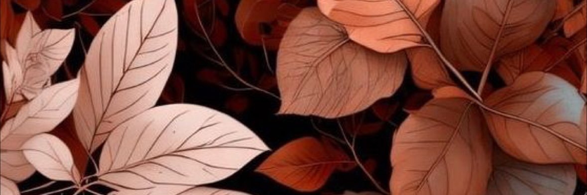 Brookiie13's profile banner image