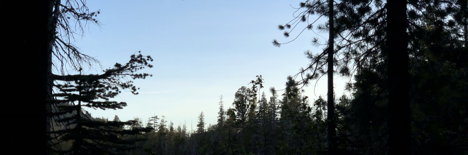 MoyAvacado's profile banner image