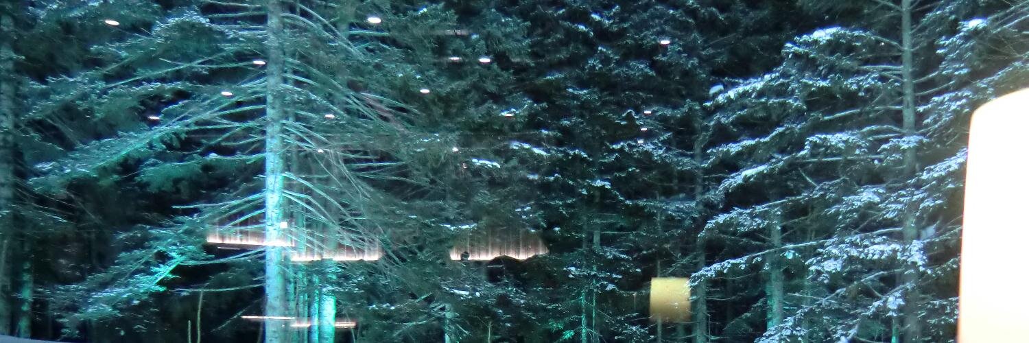suihanki660's profile banner image