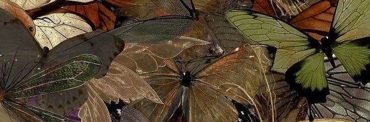 amberryan61's profile banner image