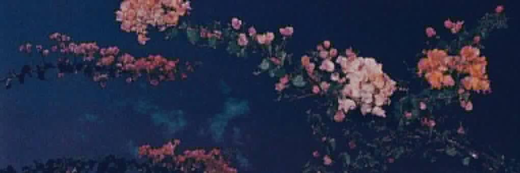 kneellama's profile banner image