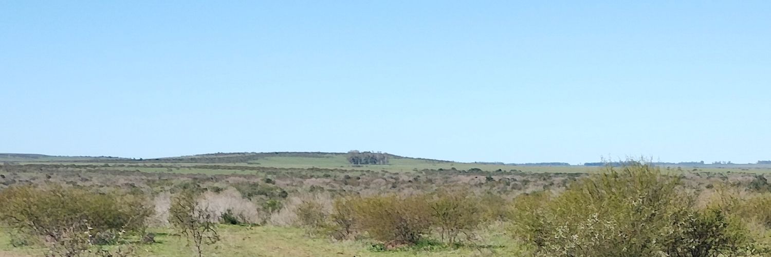 ektormonzon's profile banner image