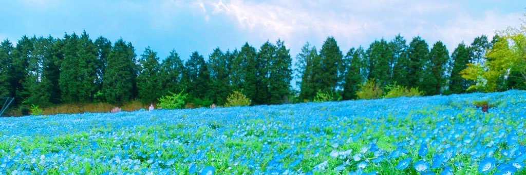 ghibli_chika's profile banner image