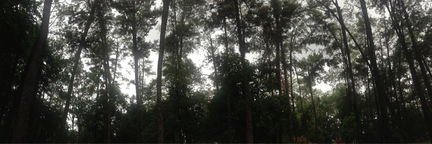 ifantepe's profile banner image