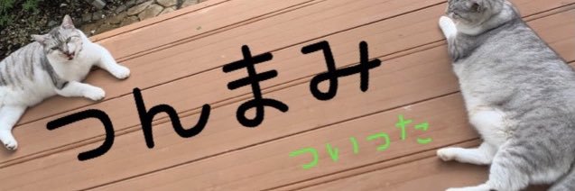 tsunmami217's profile banner image