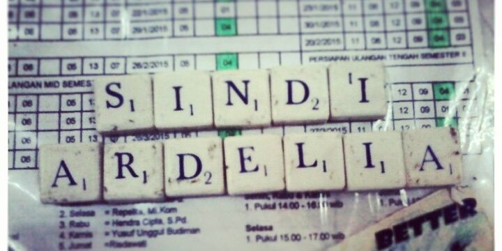 sindidel's profile banner image
