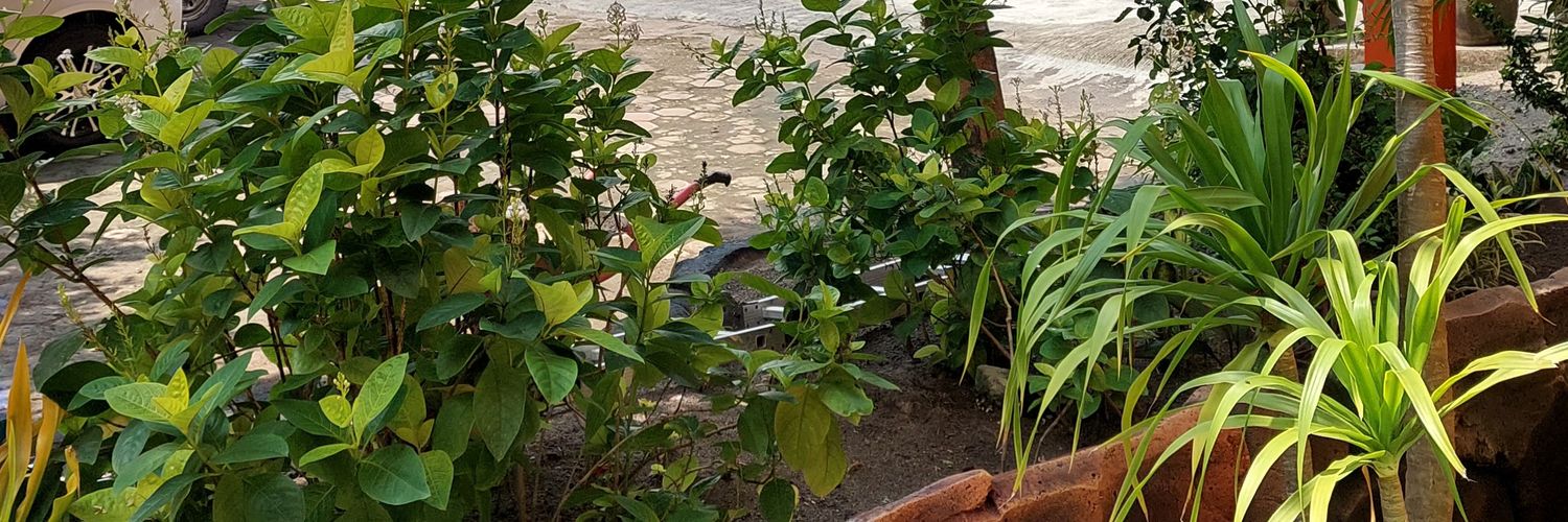 cakepucino's profile banner image