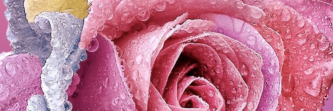 pebbles_061994's profile banner image