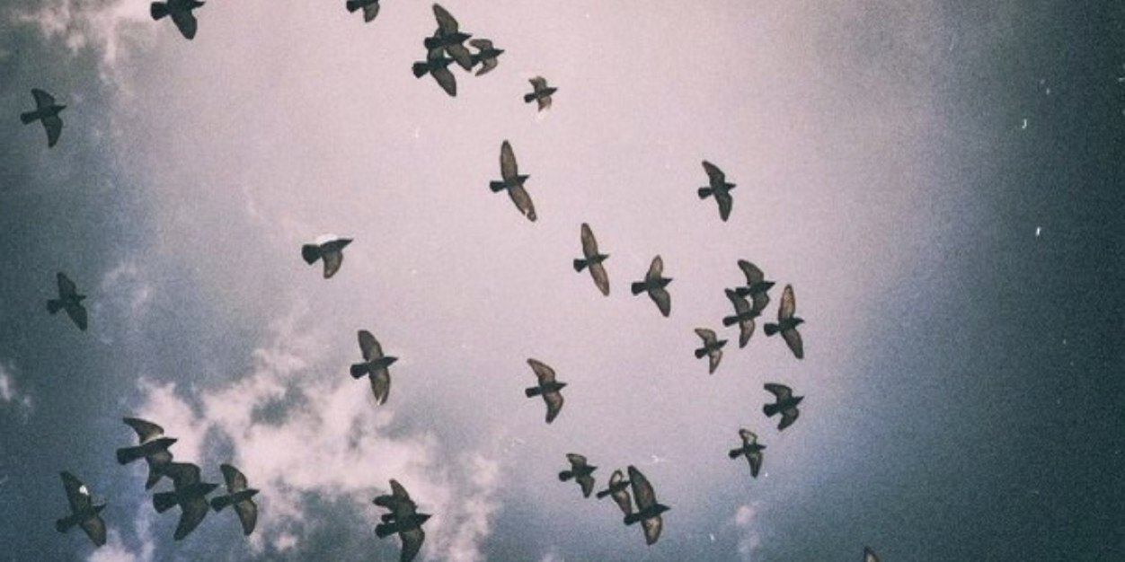 Pointlesssarah's profile banner image