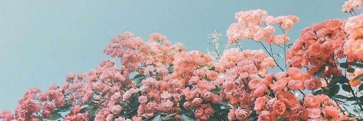 markpinedss's profile banner image