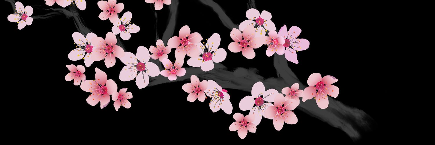 CdcRiddler's profile banner image