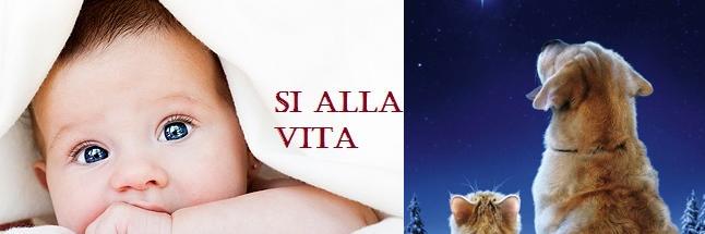 MariaLauraZavag's profile banner image