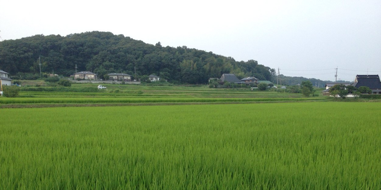 pannda_kun's profile banner image