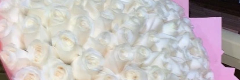 NotNiceS_'s profile banner image