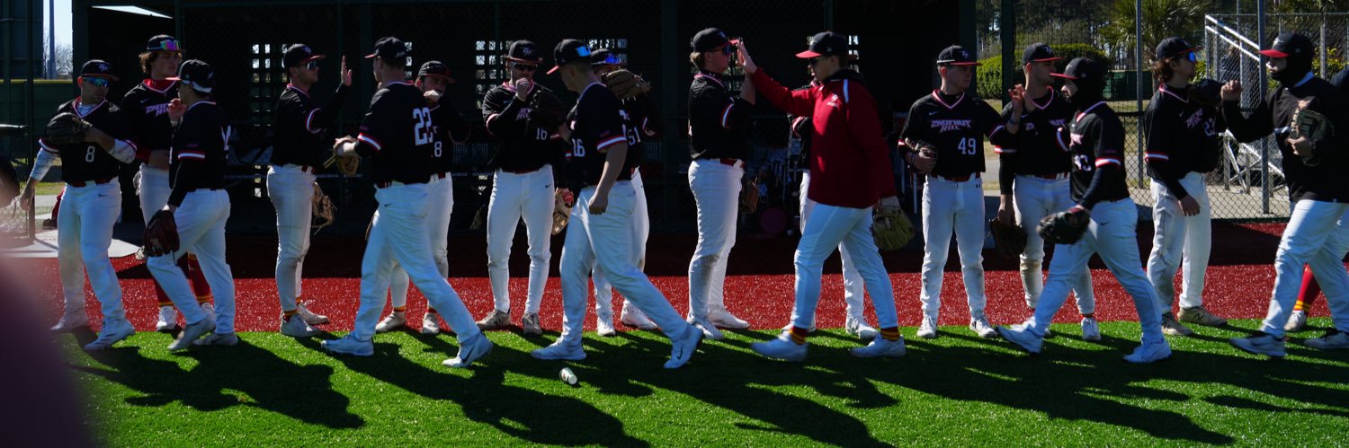 CHC Baseball banner