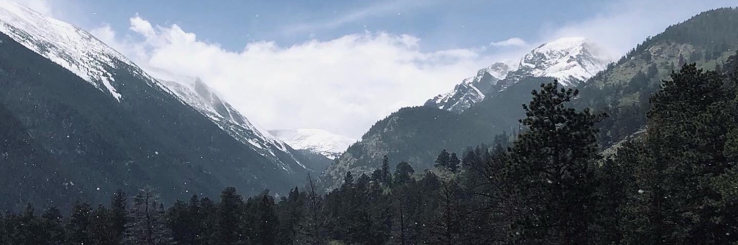 TavianSims's profile banner image