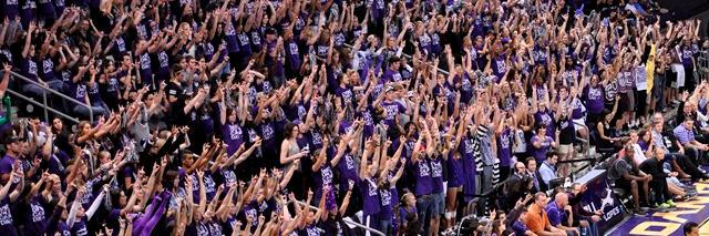 LopesUp's profile banner image