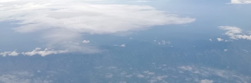 nell_cdc's profile banner image