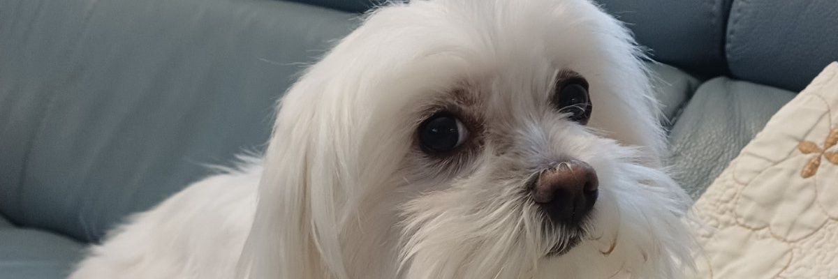 Кінець епохи бідності banner