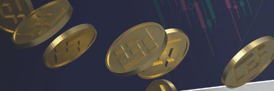 budegank's profile banner image